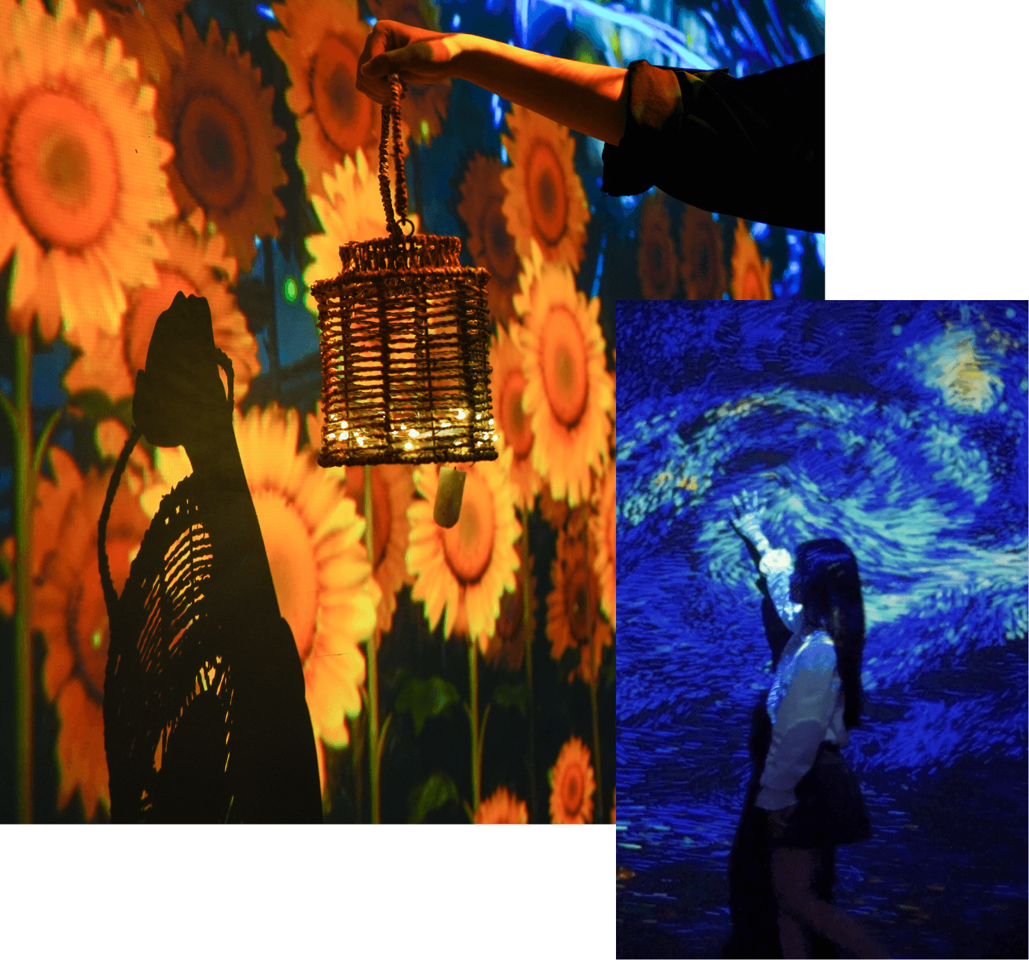 Immersive Journey Showcase